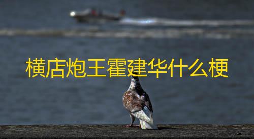 乐兔直装暗区突围下载横店炮王霍建华什么梗